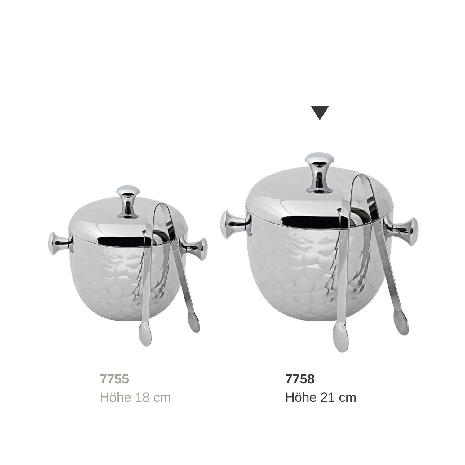 Ice bucket 21cm with ice tongs Steel, Rico, Edzard