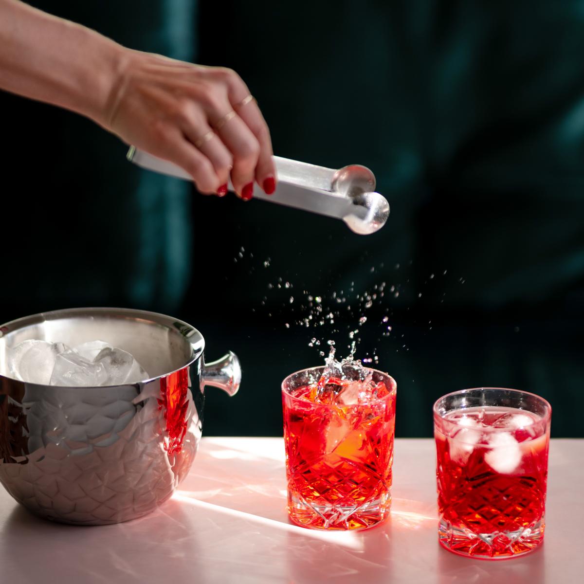Ice bucket 21cm with ice tongs Steel, Rico, Edzard