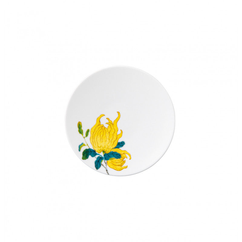 Flat coupe plate 16cm, Harmonia Blanc, Raynaud