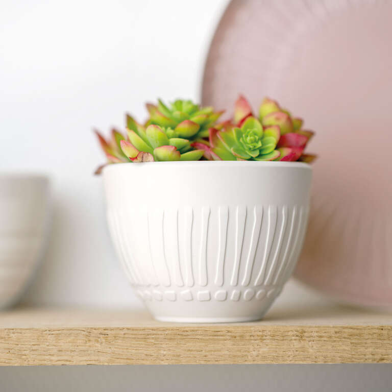 Lot de 6 Mugs Blossom, It's My Match, Villeroy & Boch