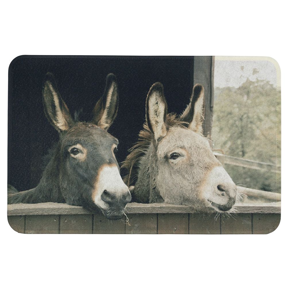 Doormat, Two Donkeys, Mars & More