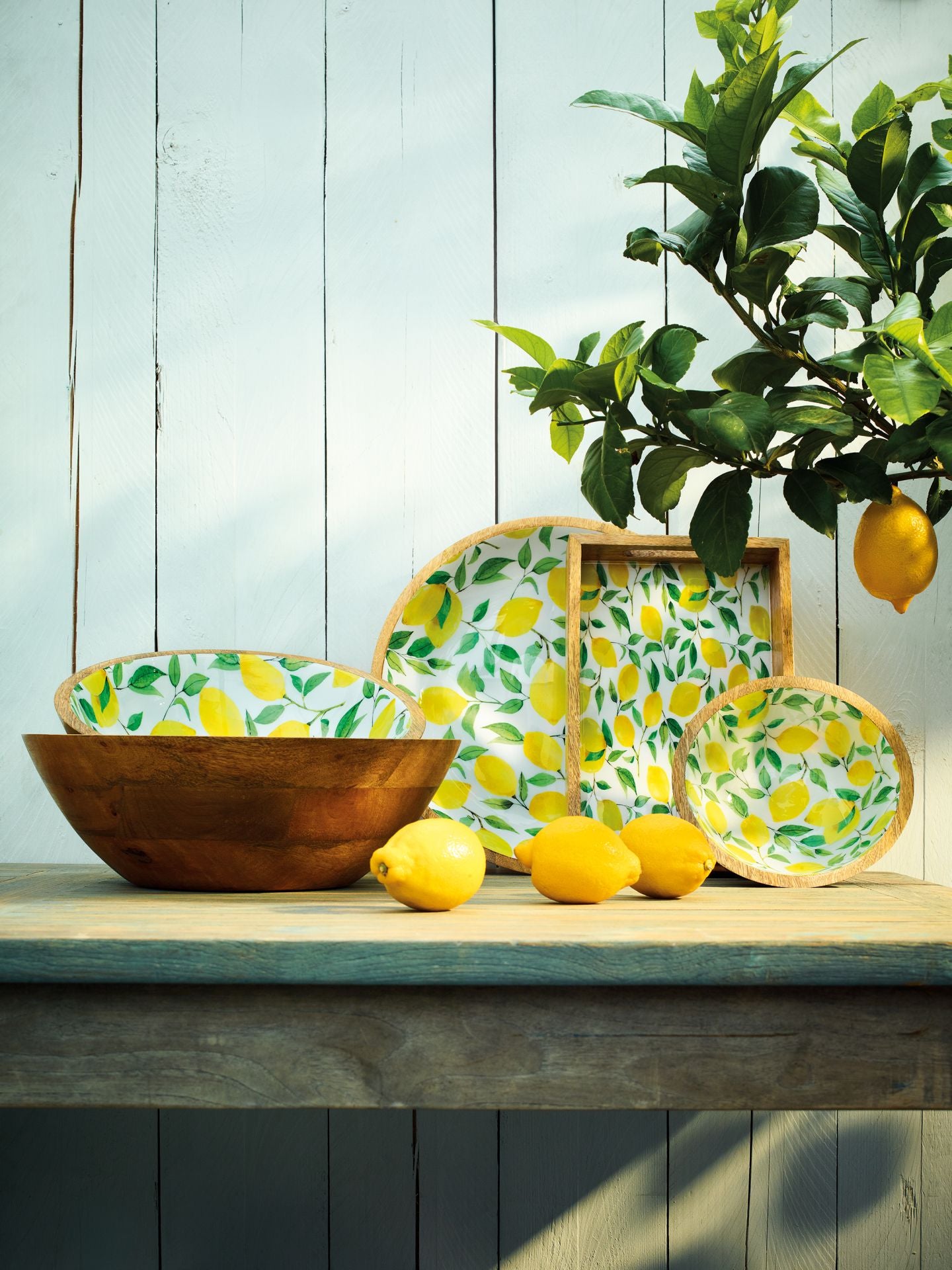 Coupe LEMON, Mango, Ø 35 cm x 6 , Zassenhaus
