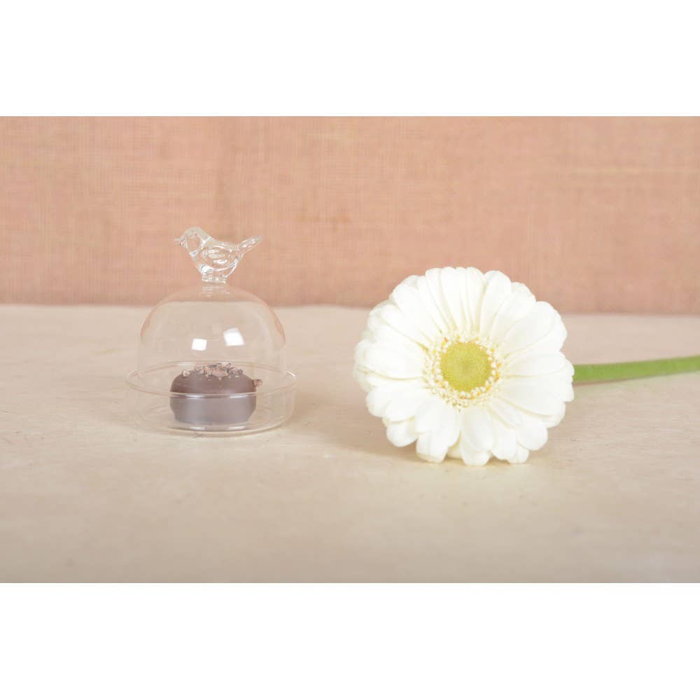 Beurrier mini oiseau