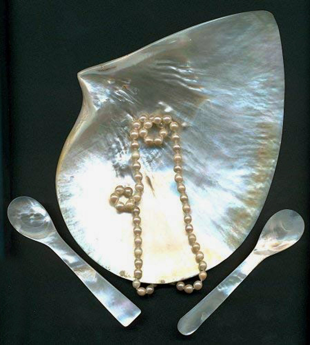 Mother of Pearl Spoons 11cm, Set of 2 Mother of Pearl, Edzard