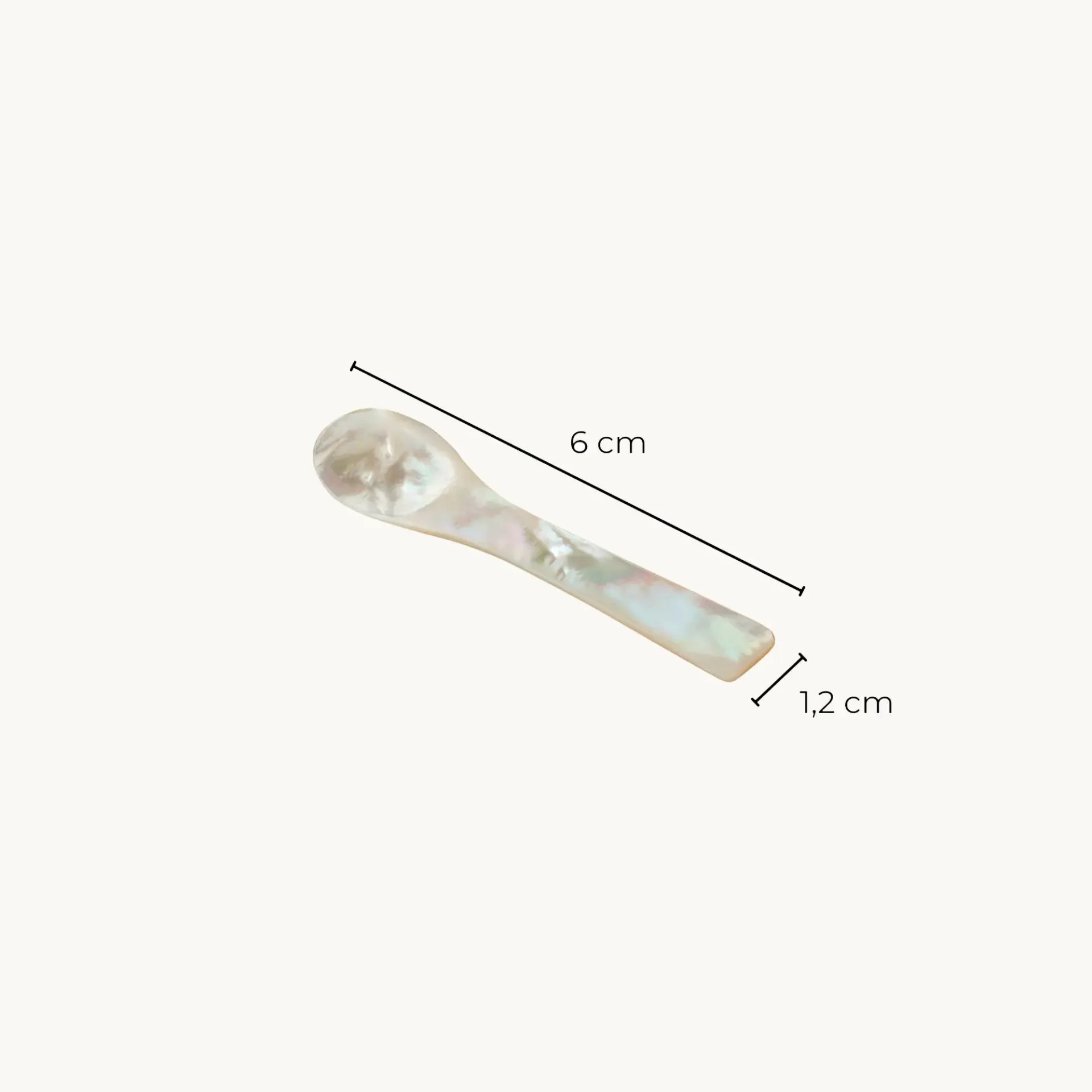 Cuillère à sel en nacre 6 cm de long), Edzard