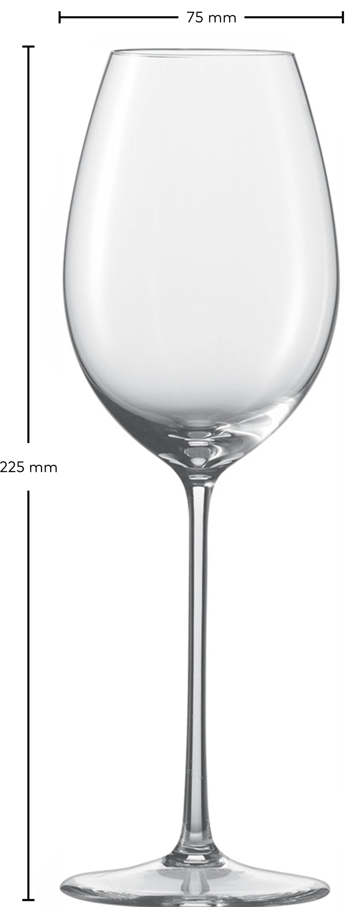 Verre à Riesling, Enoteca