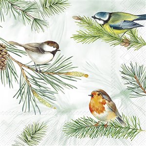 Boite allumettes Charming Robin