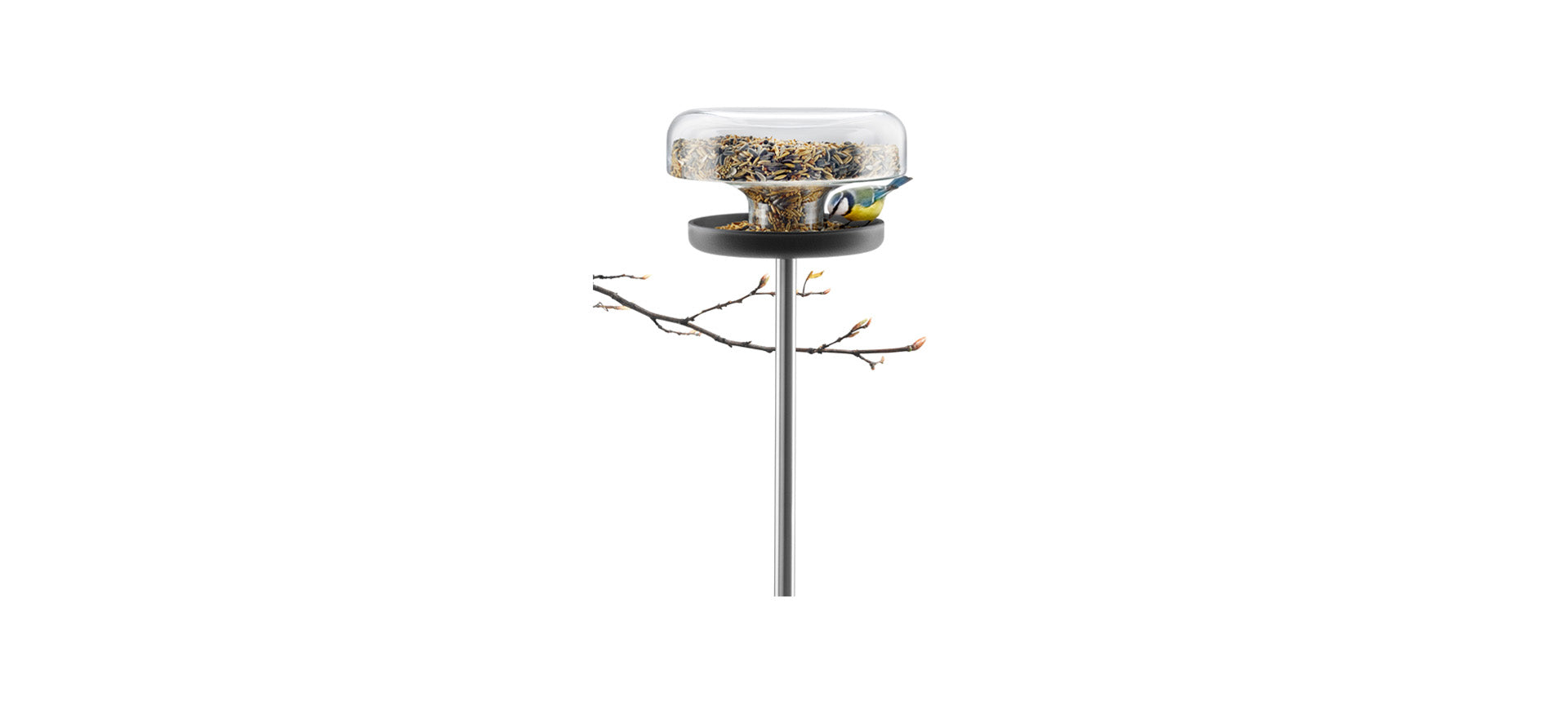 571039-bird-feeder-table2.jpg