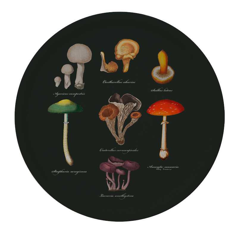 Plateau de service Ø38 cm Champignons