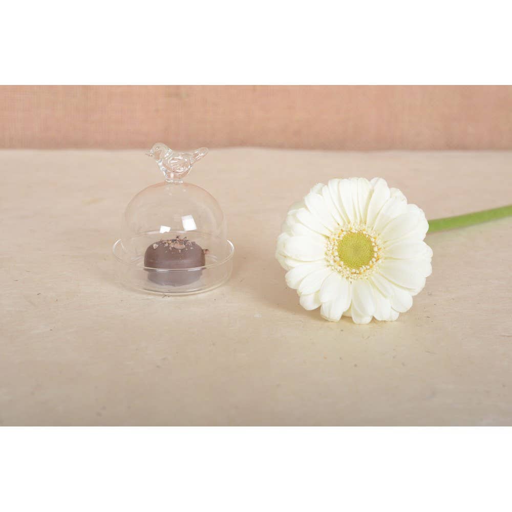 Beurrier mini oiseau