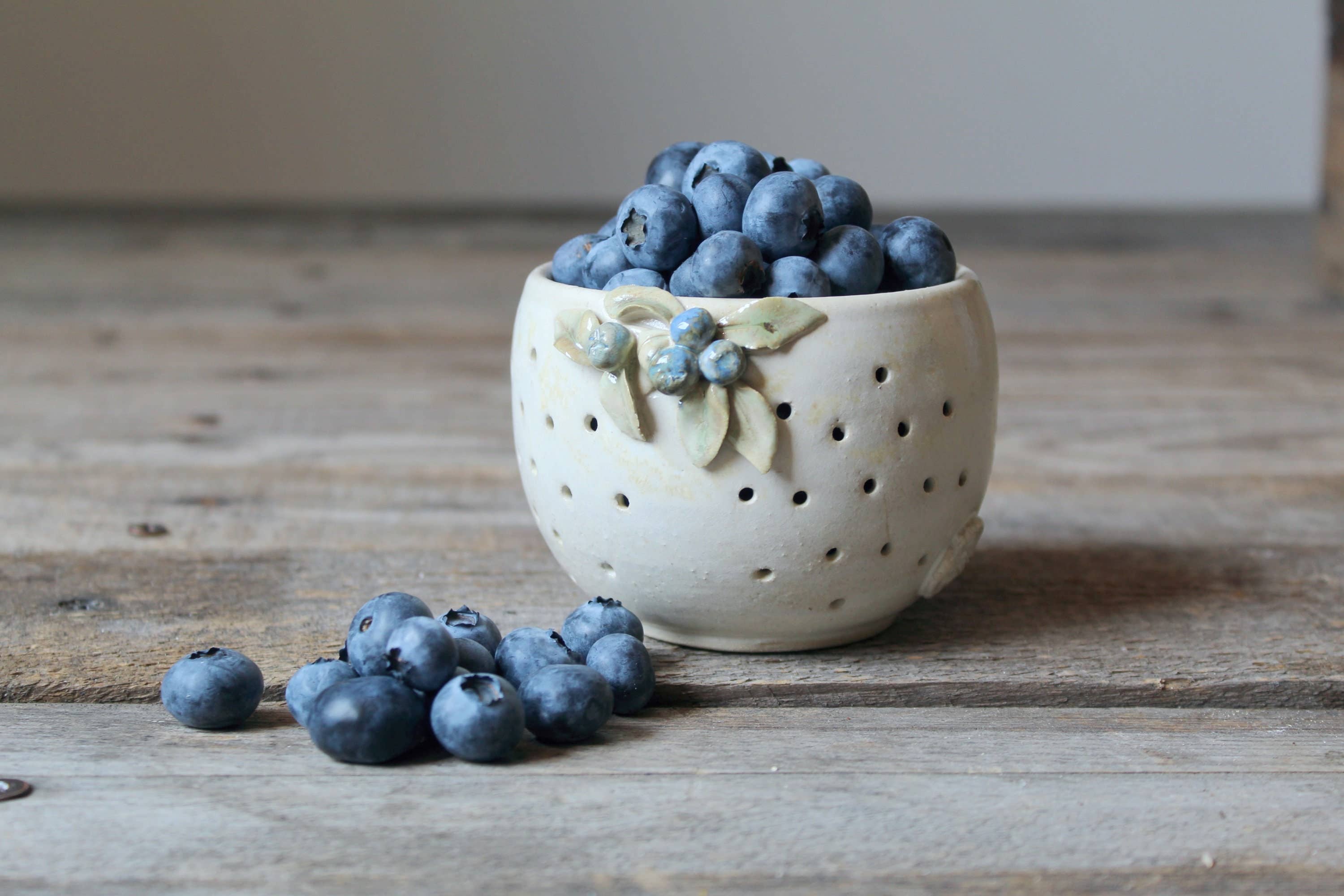 Blueberry : bol aéré pour conserver vos baies