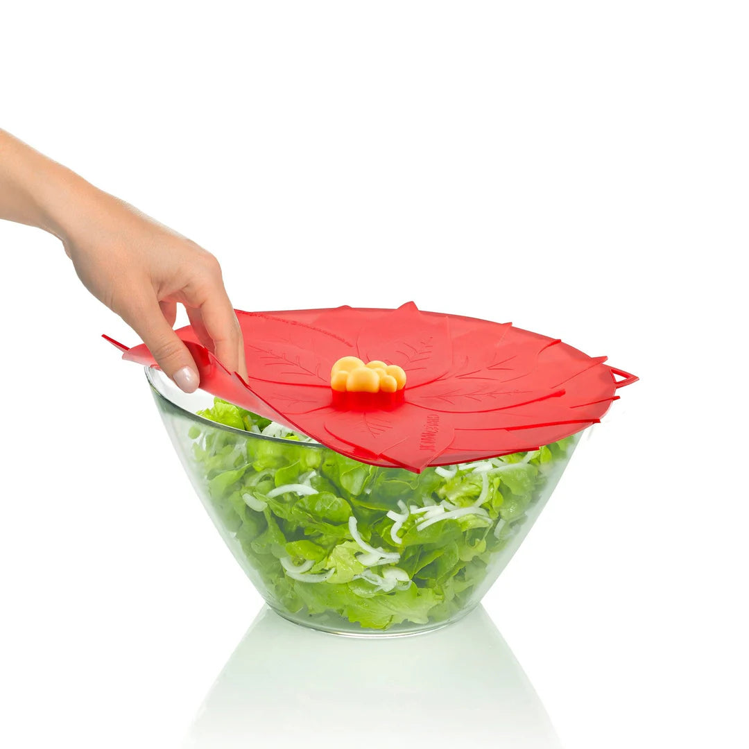 Couvercle 28cm Poinsettia, N2J