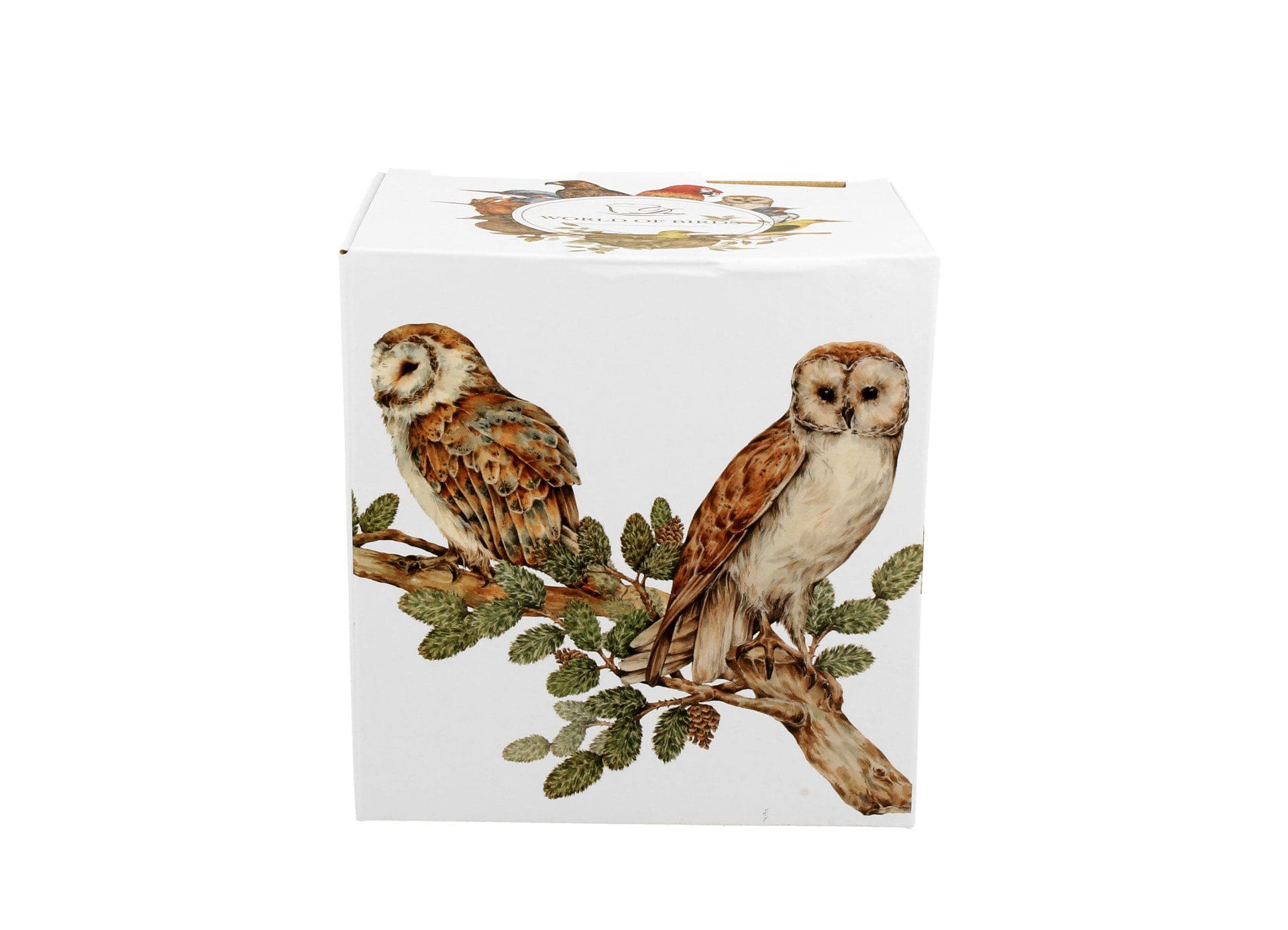 Tisanière 400 ml Chouettes Effraies, Duo