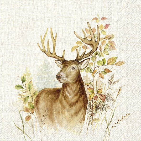 Bouillotte, Hunted Deer