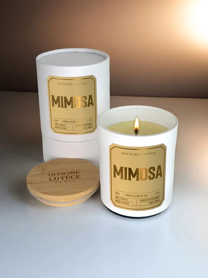 Mimosa3.webp