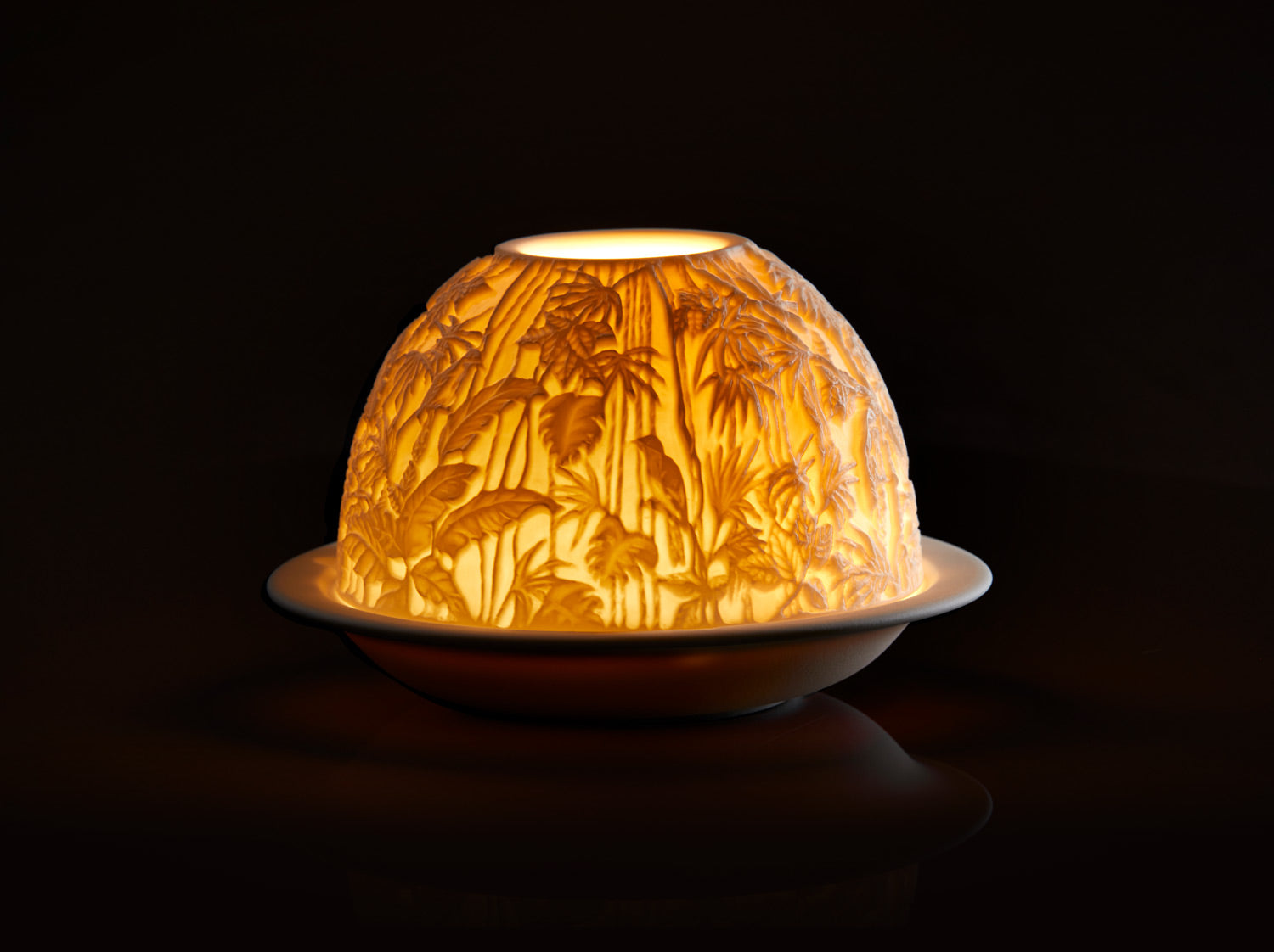 Lithophanie Led, Bornéo, Bernardaud