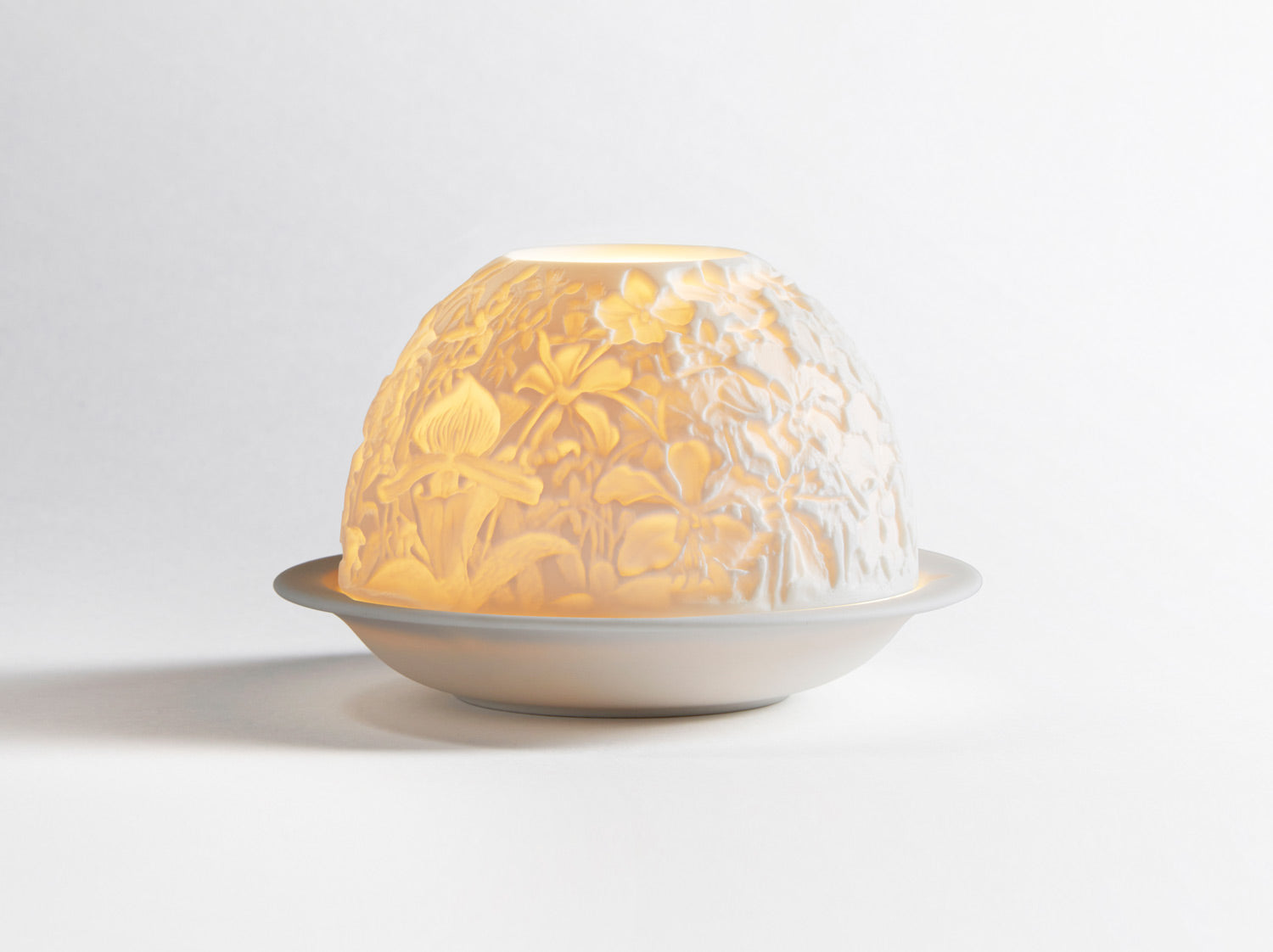 Lithophanie Led, Les Orchidées, Bernardaud