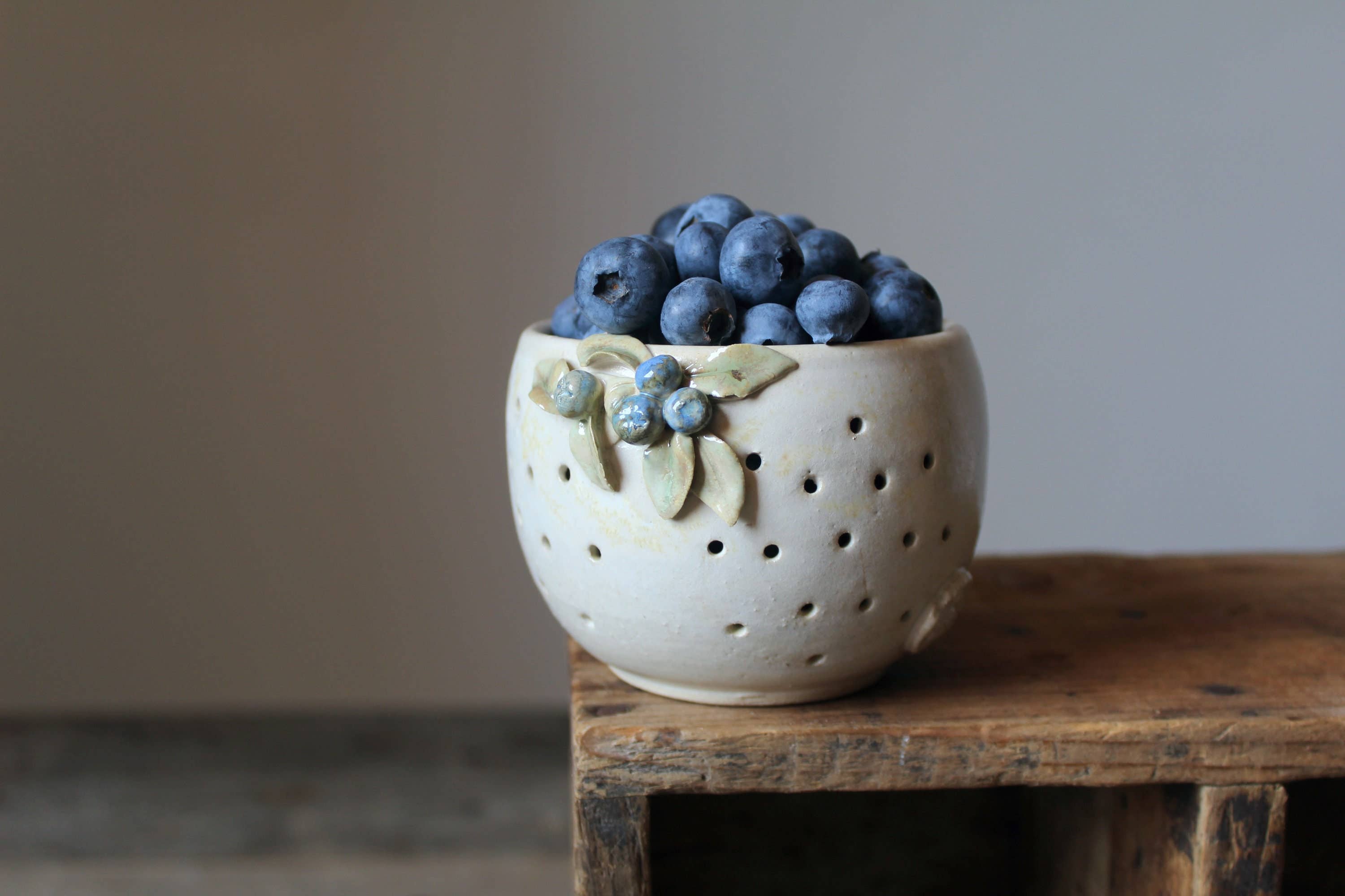 Blueberry : bol aéré pour conserver vos baies