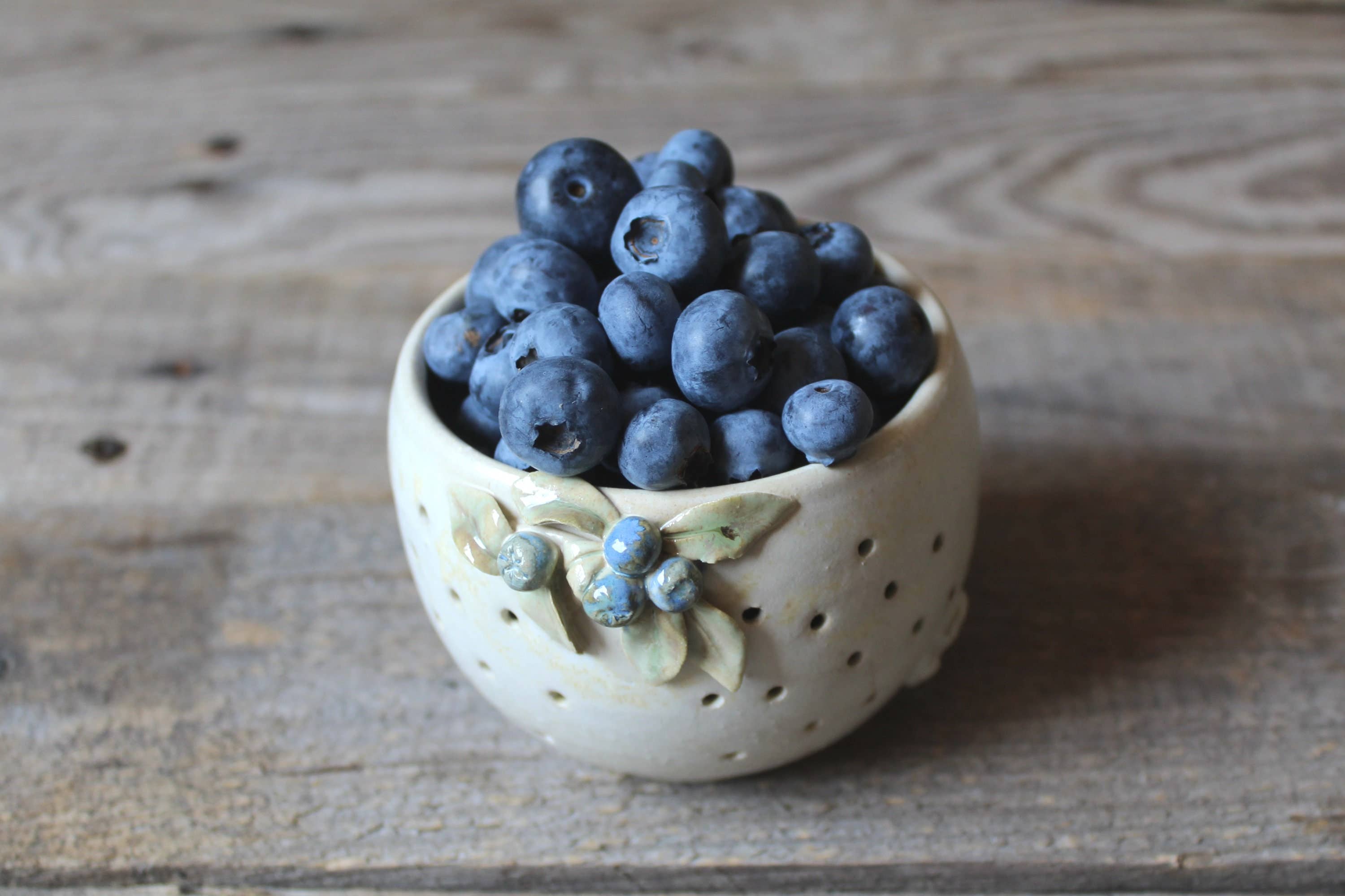 Blueberry : bol aéré pour conserver vos baies