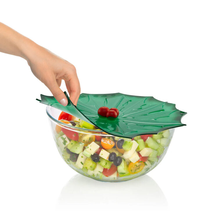 Couvercle 23 cm Houx Vert, N2J