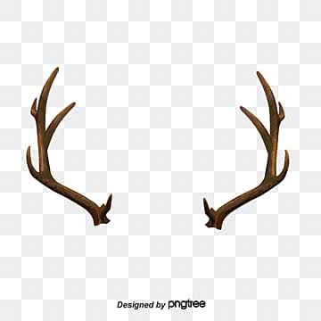 Bois de cerf, Deco Hunting Trophy