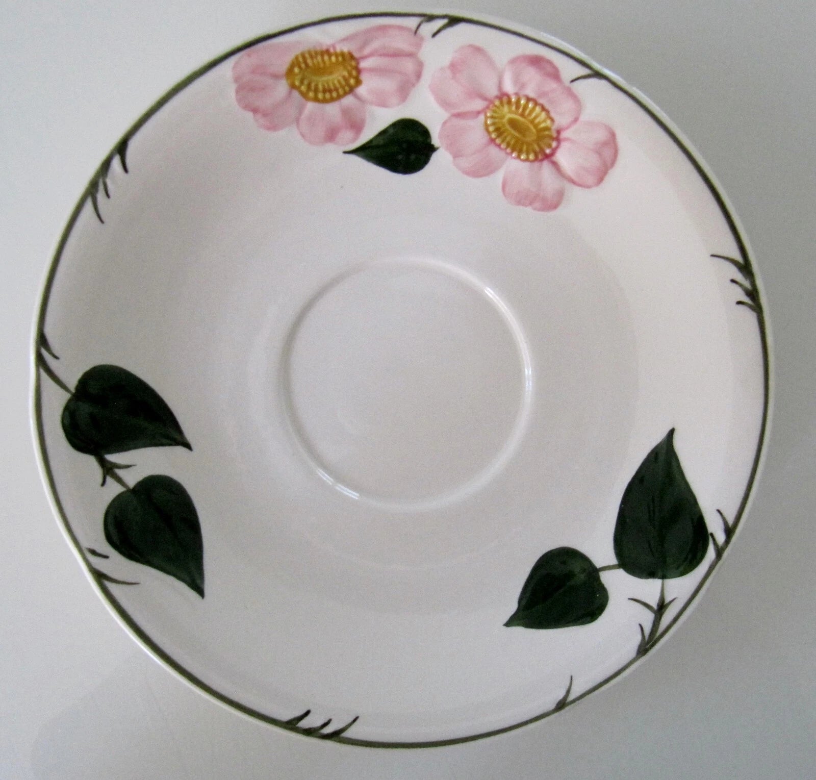Lot 5 Soucoupes Déjeuner, Wild Rose