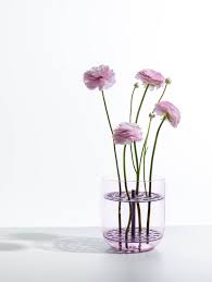 Vase Rose MM dessus Smoke+ Grille